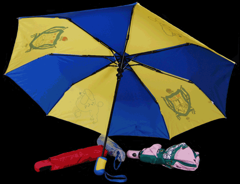 Auto Open Folding Umbrella